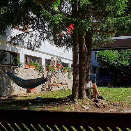Randunica Hotel Văliug Buitenkant foto