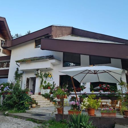 Randunica Hotel Văliug Buitenkant foto