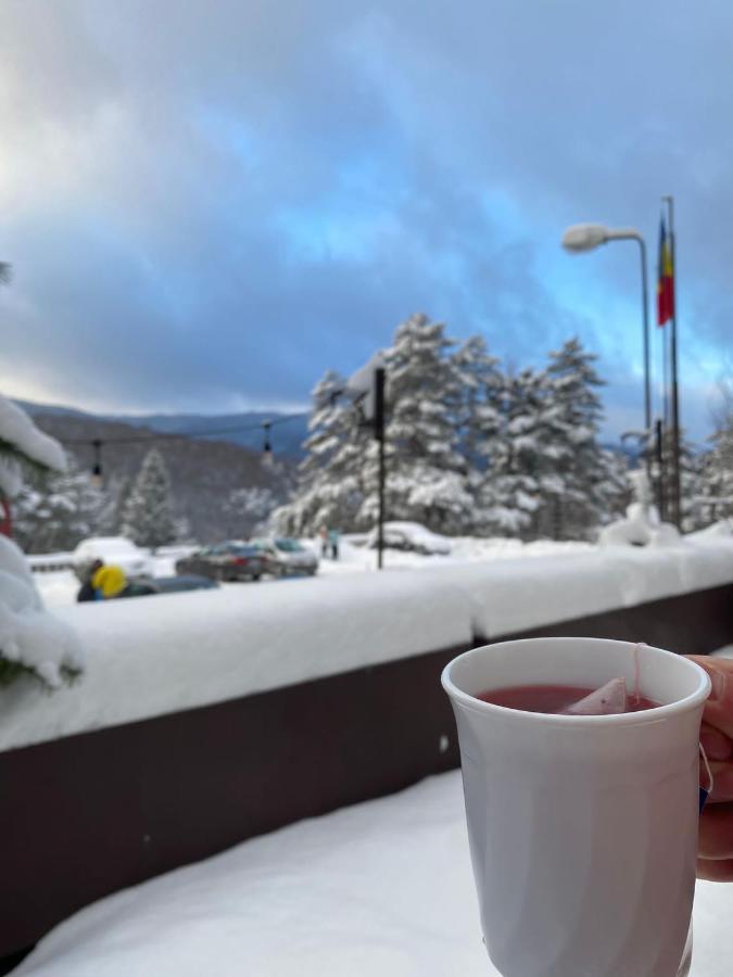 Randunica Hotel Văliug Buitenkant foto
