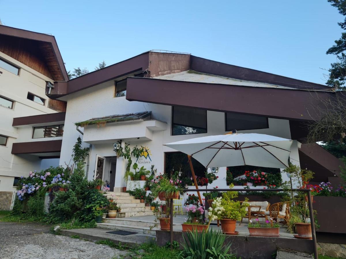 Randunica Hotel Văliug Buitenkant foto