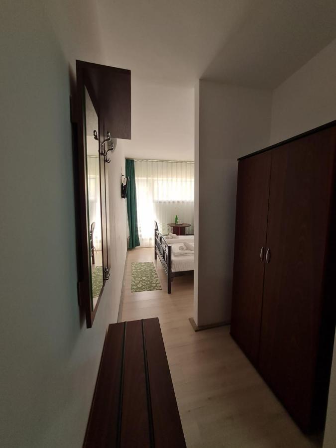 Randunica Hotel Văliug Buitenkant foto